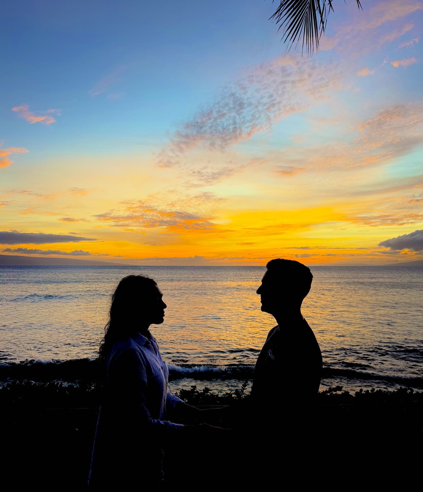 Sunset silhouettes